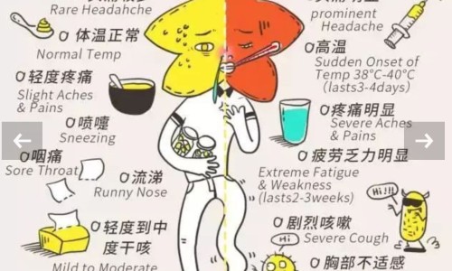 怀孕能吃金银花颗粒吗-怀孕能吃金钱草颗粒吗网 | 怀孕能吃金钱草颗粒吗,怀孕能吃金钱草颗粒吗有影响吗
