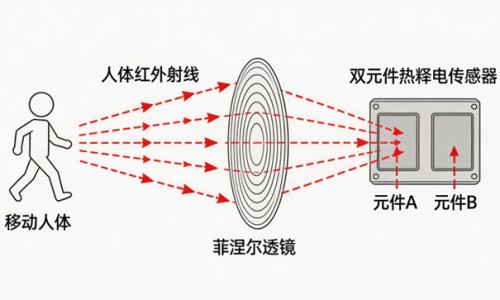 怀孕能吃金钱草颗粒吗有影响吗-怀孕能吃金钱草颗粒吗网 | 怀孕能吃金钱草颗粒吗,怀孕能吃金钱草颗粒吗有影响吗